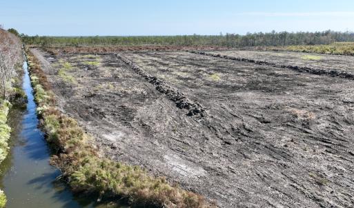 Photo #14 of SOLD property in Off US 264, Engelhard, NC 500.0 acres