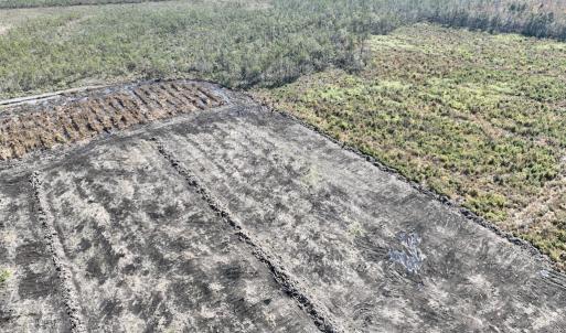 Photo #15 of SOLD property in Off US 264, Engelhard, NC 500.0 acres