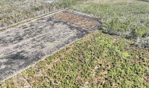 Photo #16 of SOLD property in Off US 264, Engelhard, NC 500.0 acres