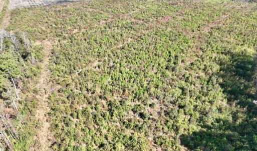 Photo #17 of SOLD property in Off US 264, Engelhard, NC 500.0 acres
