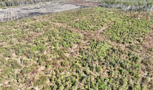 Photo #18 of SOLD property in Off US 264, Engelhard, NC 500.0 acres