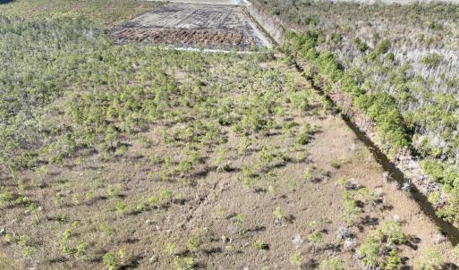 Photo #21 of SOLD property in Off US 264, Engelhard, NC 500.0 acres