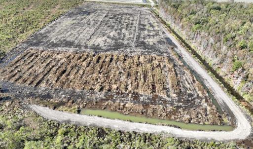 Photo #22 of SOLD property in Off US 264, Engelhard, NC 500.0 acres