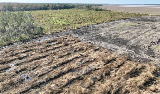 Photo #24 of SOLD property in Off US 264, Engelhard, NC 500.0 acres