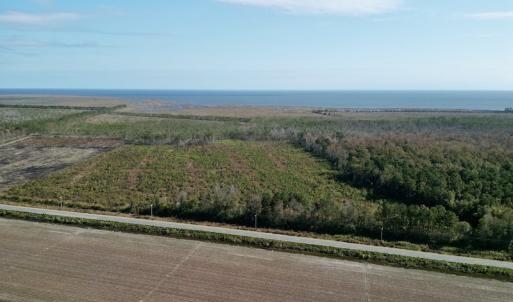 Photo #4 of SOLD property in Off US 264, Engelhard, NC 500.0 acres
