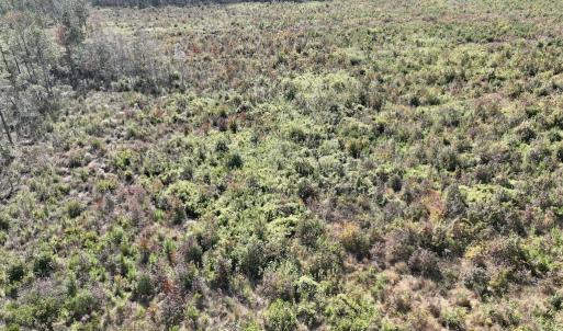 Photo #32 of SOLD property in Off US 264, Engelhard, NC 500.0 acres
