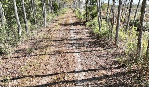 Photo #35 of SOLD property in Off US 264, Engelhard, NC 500.0 acres