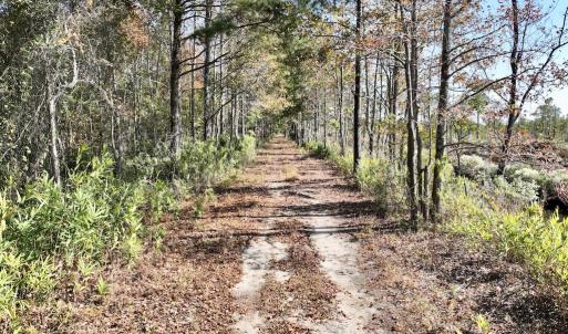 Photo #36 of SOLD property in Off US 264, Engelhard, NC 500.0 acres