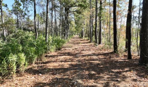 Photo #37 of SOLD property in Off US 264, Engelhard, NC 500.0 acres