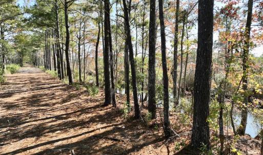 Photo #38 of SOLD property in Off US 264, Engelhard, NC 500.0 acres