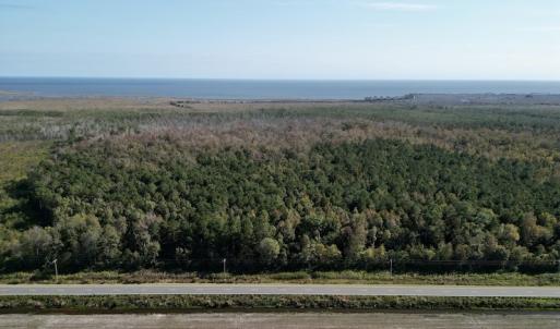 Photo #5 of SOLD property in Off US 264, Engelhard, NC 500.0 acres