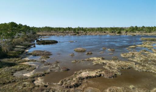 Photo #45 of SOLD property in Off US 264, Engelhard, NC 500.0 acres