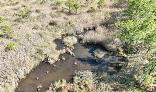 Photo #47 of SOLD property in Off US 264, Engelhard, NC 500.0 acres