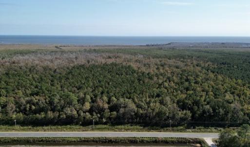 Photo #6 of SOLD property in Off US 264, Engelhard, NC 500.0 acres