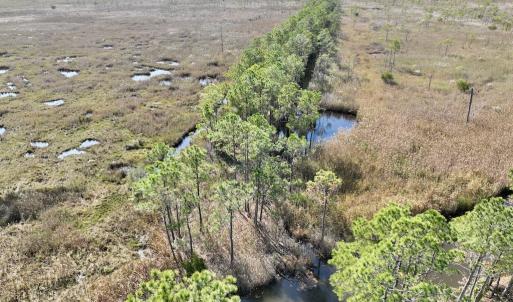 Photo #49 of SOLD property in Off US 264, Engelhard, NC 500.0 acres