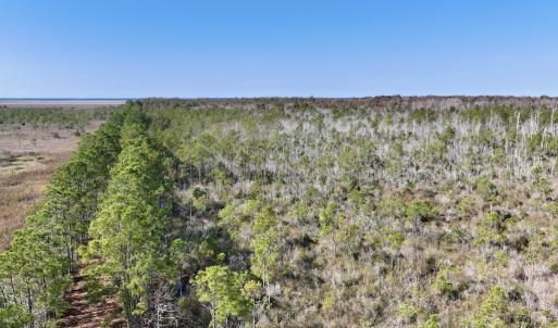Photo #50 of SOLD property in Off US 264, Engelhard, NC 500.0 acres