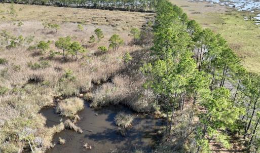 Photo #51 of SOLD property in Off US 264, Engelhard, NC 500.0 acres