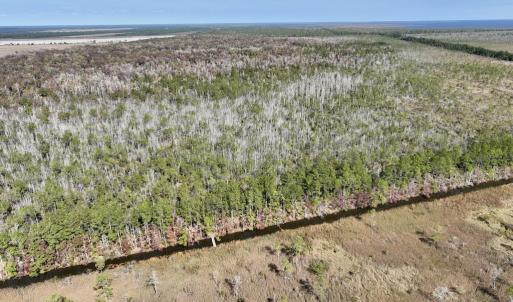 Photo #53 of SOLD property in Off US 264, Engelhard, NC 500.0 acres