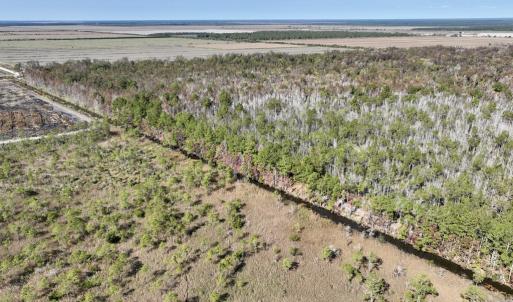 Photo #55 of SOLD property in Off US 264, Engelhard, NC 500.0 acres