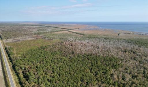 Photo #7 of SOLD property in Off US 264, Engelhard, NC 500.0 acres