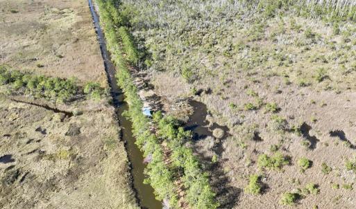 Photo #59 of SOLD property in Off US 264, Engelhard, NC 500.0 acres