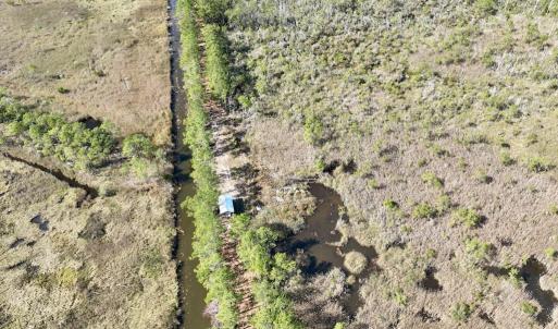 Photo #61 of SOLD property in Off US 264, Engelhard, NC 500.0 acres