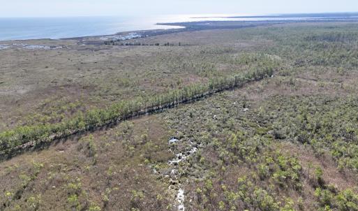 Photo #63 of SOLD property in Off US 264, Engelhard, NC 500.0 acres