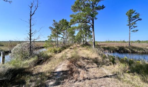 Photo #75 of SOLD property in Off US 264, Engelhard, NC 500.0 acres