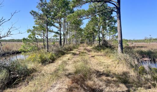 Photo #76 of SOLD property in Off US 264, Engelhard, NC 500.0 acres