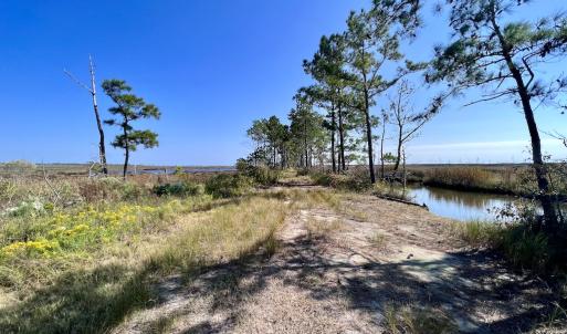 Photo #77 of SOLD property in Off US 264, Engelhard, NC 500.0 acres