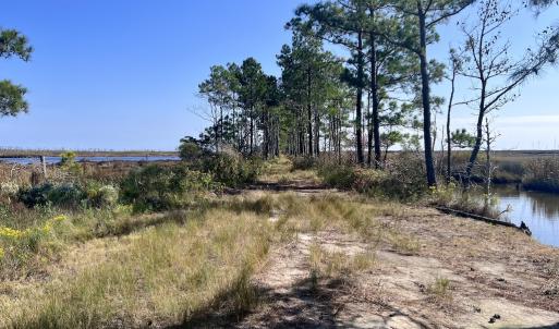 Photo #78 of SOLD property in Off US 264, Engelhard, NC 500.0 acres