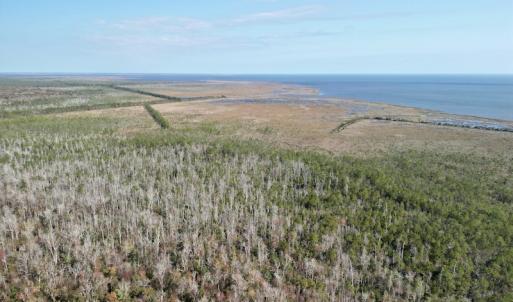 Photo #9 of SOLD property in Off US 264, Engelhard, NC 500.0 acres