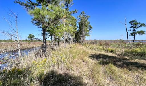 Photo #79 of SOLD property in Off US 264, Engelhard, NC 500.0 acres