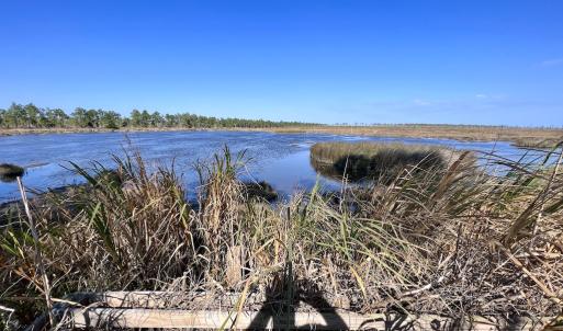 Photo #84 of SOLD property in Off US 264, Engelhard, NC 500.0 acres