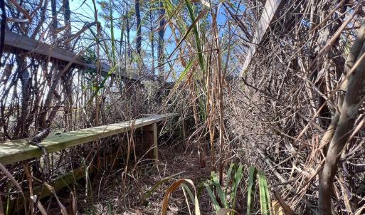 Photo #85 of SOLD property in Off US 264, Engelhard, NC 500.0 acres