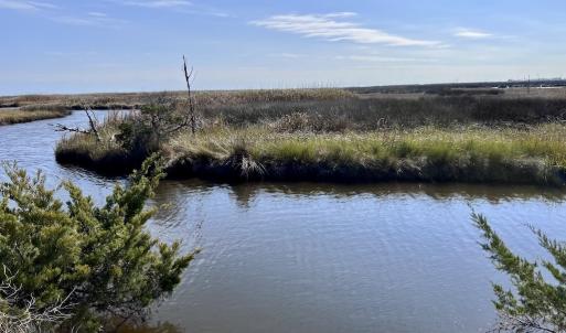 Photo #86 of SOLD property in Off US 264, Engelhard, NC 500.0 acres