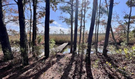Photo #87 of SOLD property in Off US 264, Engelhard, NC 500.0 acres