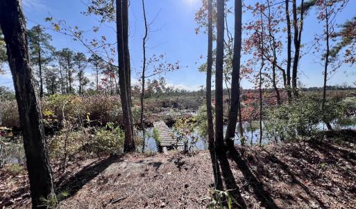 Photo #88 of SOLD property in Off US 264, Engelhard, NC 500.0 acres