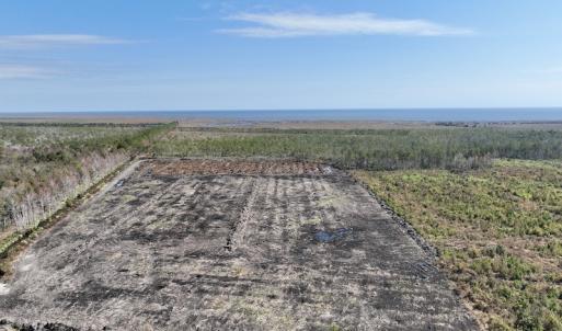Photo #10 of SOLD property in Off US 264, Engelhard, NC 500.0 acres