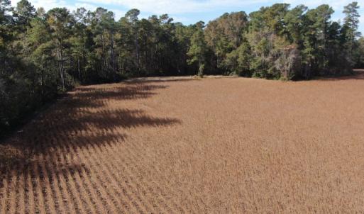 Photo #7 of Off Norton Road, Green Sea, SC 32.0 acres