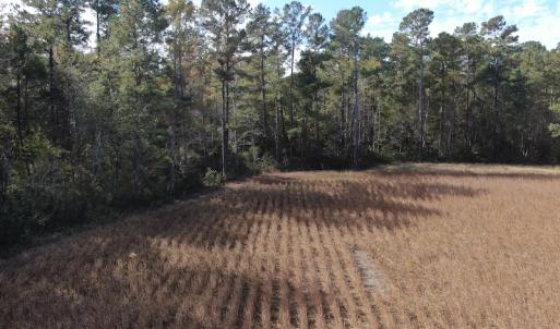 Photo #9 of Off Norton Road, Green Sea, SC 32.0 acres