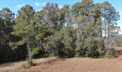 Photo #11 of Off Norton Road, Green Sea, SC 32.0 acres