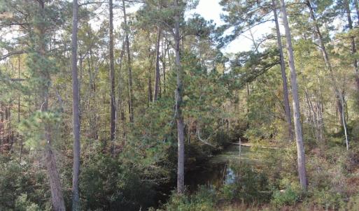 Photo #12 of Off Norton Road, Green Sea, SC 32.0 acres