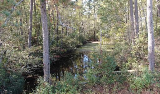 Photo #13 of Off Norton Road, Green Sea, SC 32.0 acres