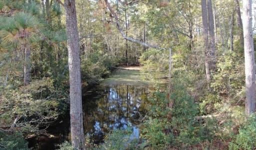 Photo #14 of Off Norton Road, Green Sea, SC 32.0 acres