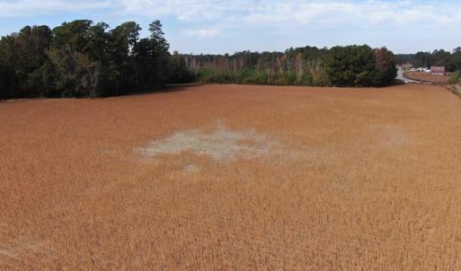 Photo #8 of Off Norton Road, Green Sea, SC 32.0 acres