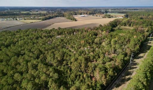 Photo #11 of SOLD property in Off Rail Road St, Chocowinity, NC 3.4 acres