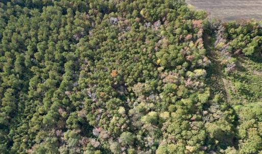 Photo #13 of SOLD property in Off Rail Road St, Chocowinity, NC 3.4 acres