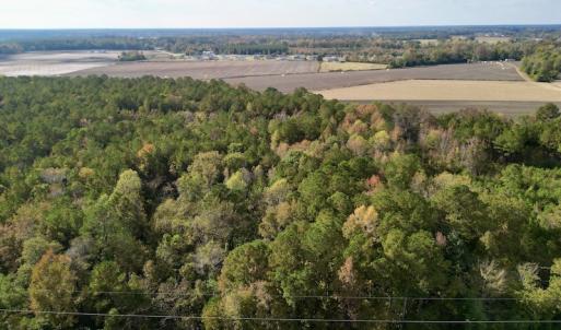 Photo #14 of SOLD property in Off Rail Road St, Chocowinity, NC 3.4 acres
