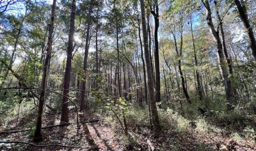 Photo #18 of SOLD property in Off Rail Road St, Chocowinity, NC 3.4 acres